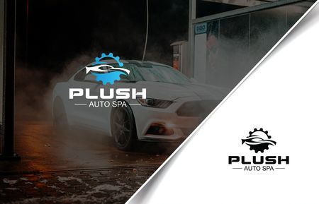 PLUSH Auto Spa detailing work