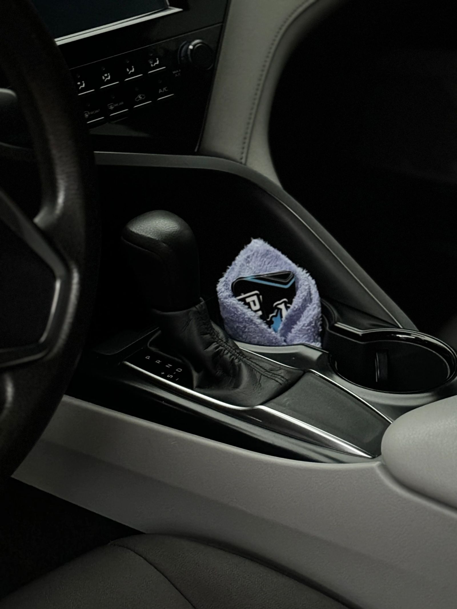 PLUSH Auto Spa detailing work