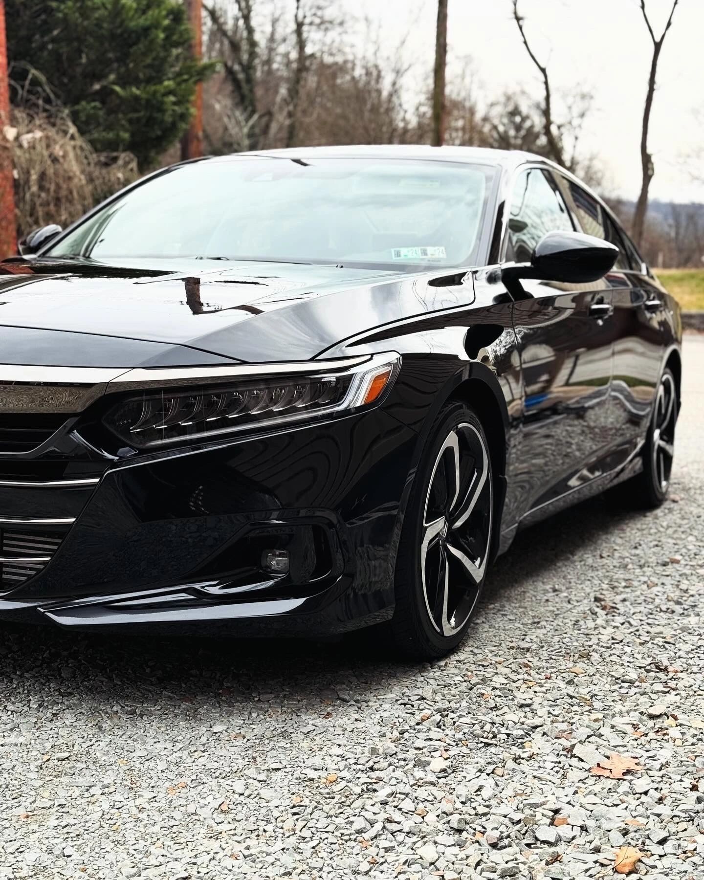 PLUSH Auto Spa detailing work