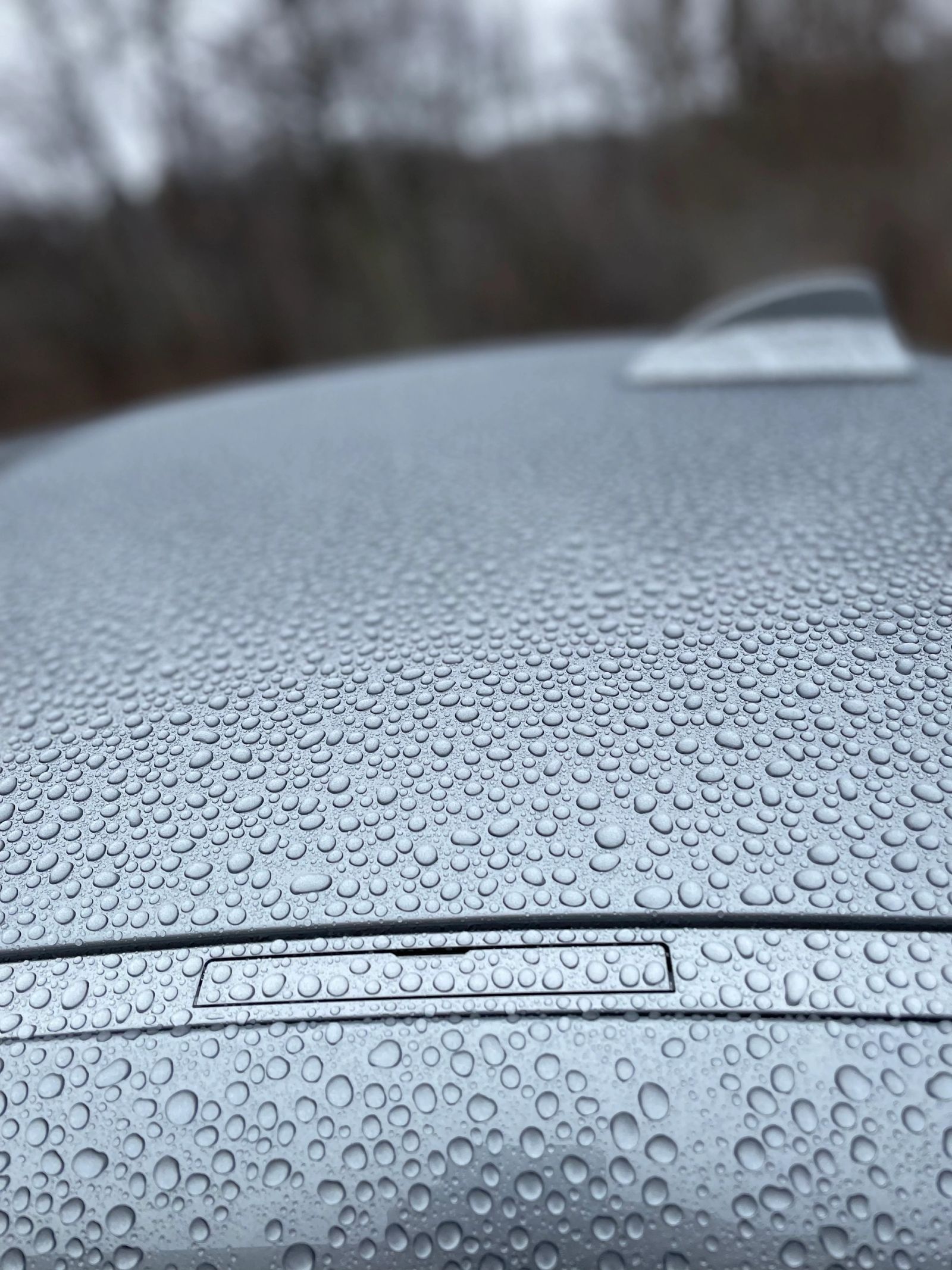 PLUSH Auto Spa detailing work