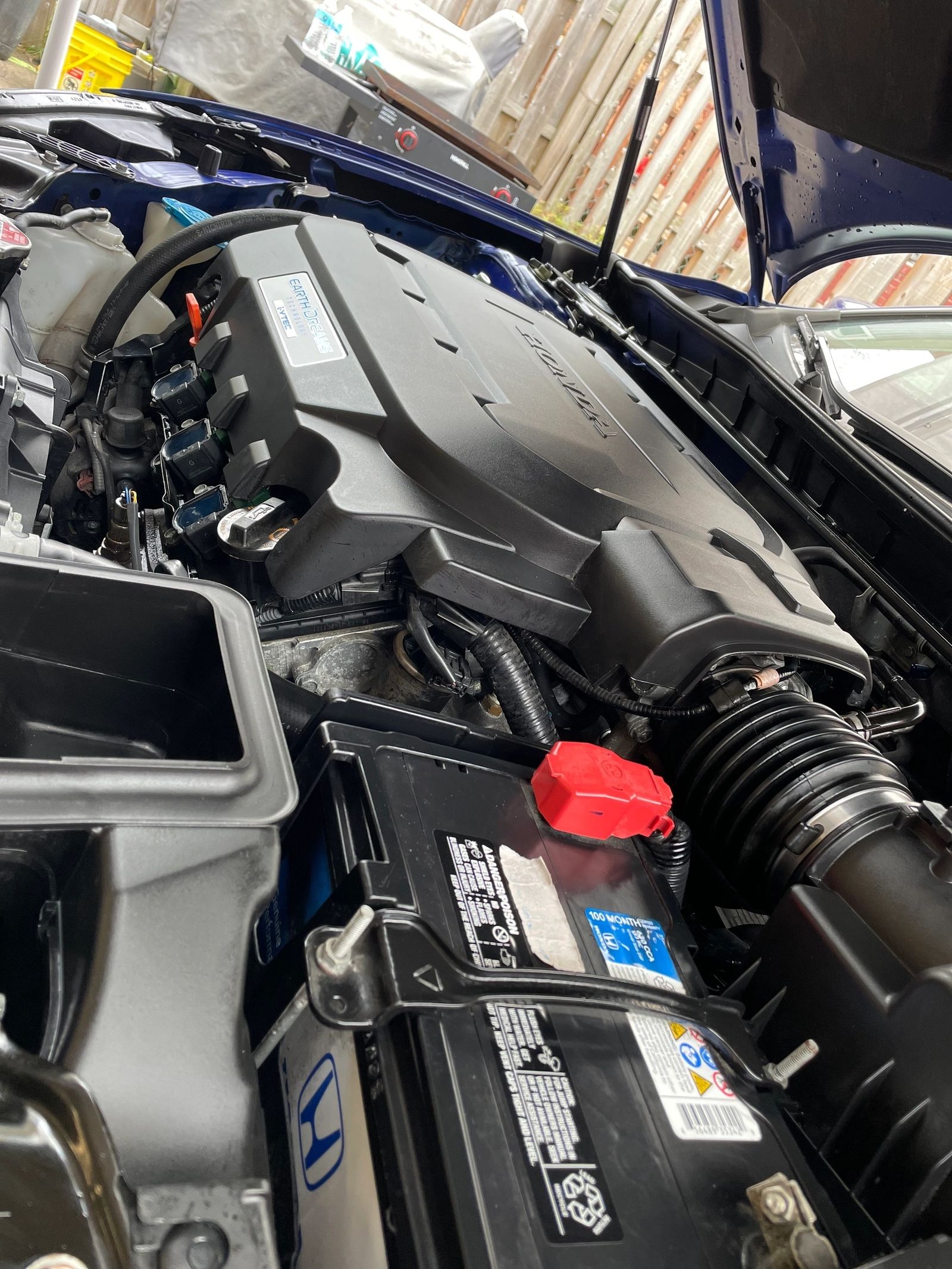 PLUSH Auto Spa detailing work