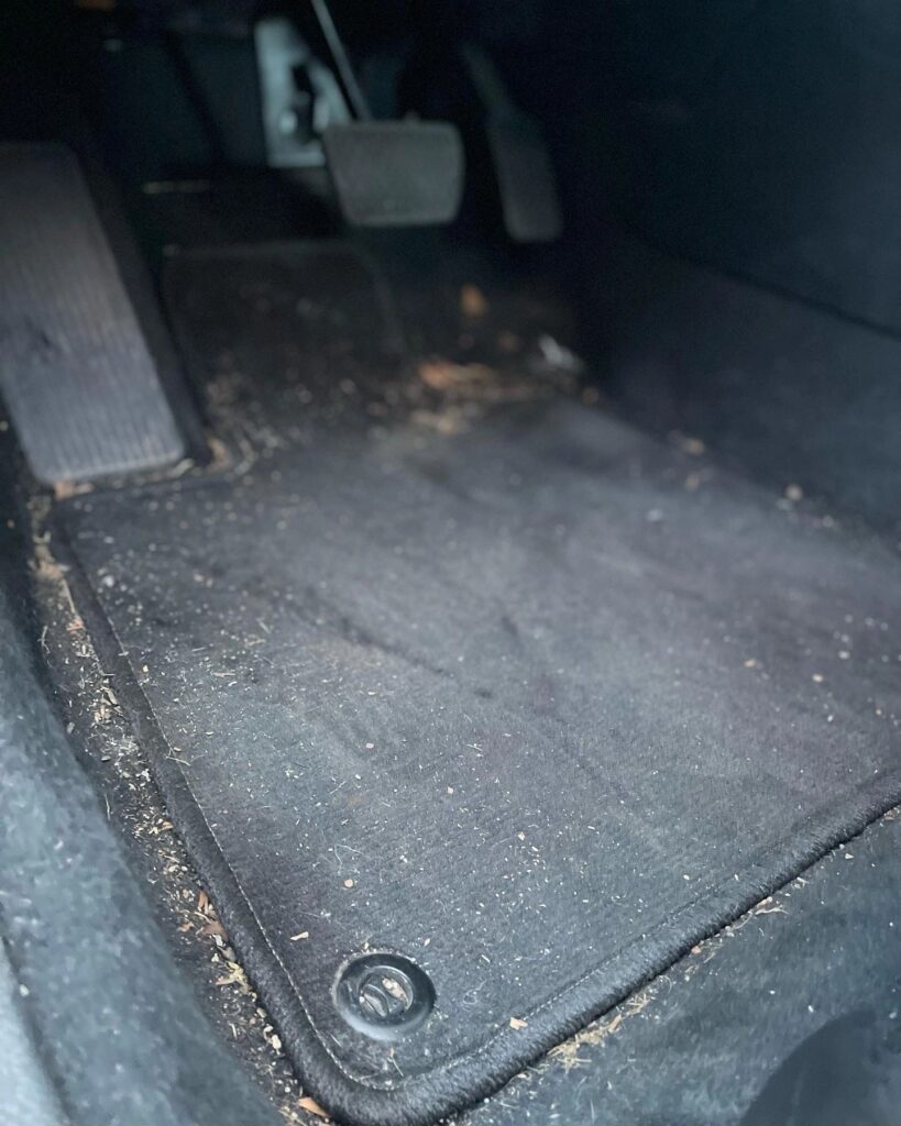PLUSH Auto Spa detailing work
