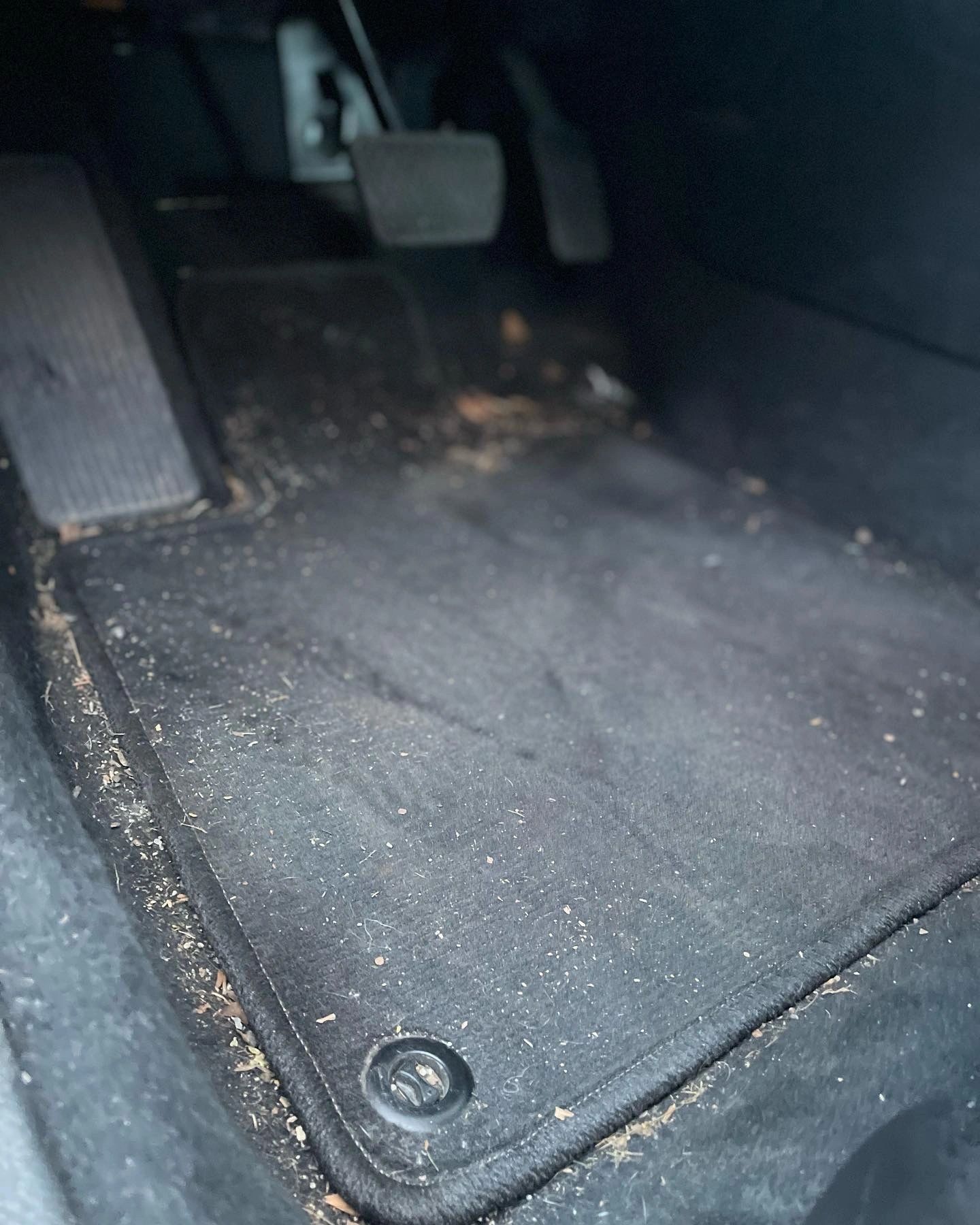 PLUSH Auto Spa detailing work
