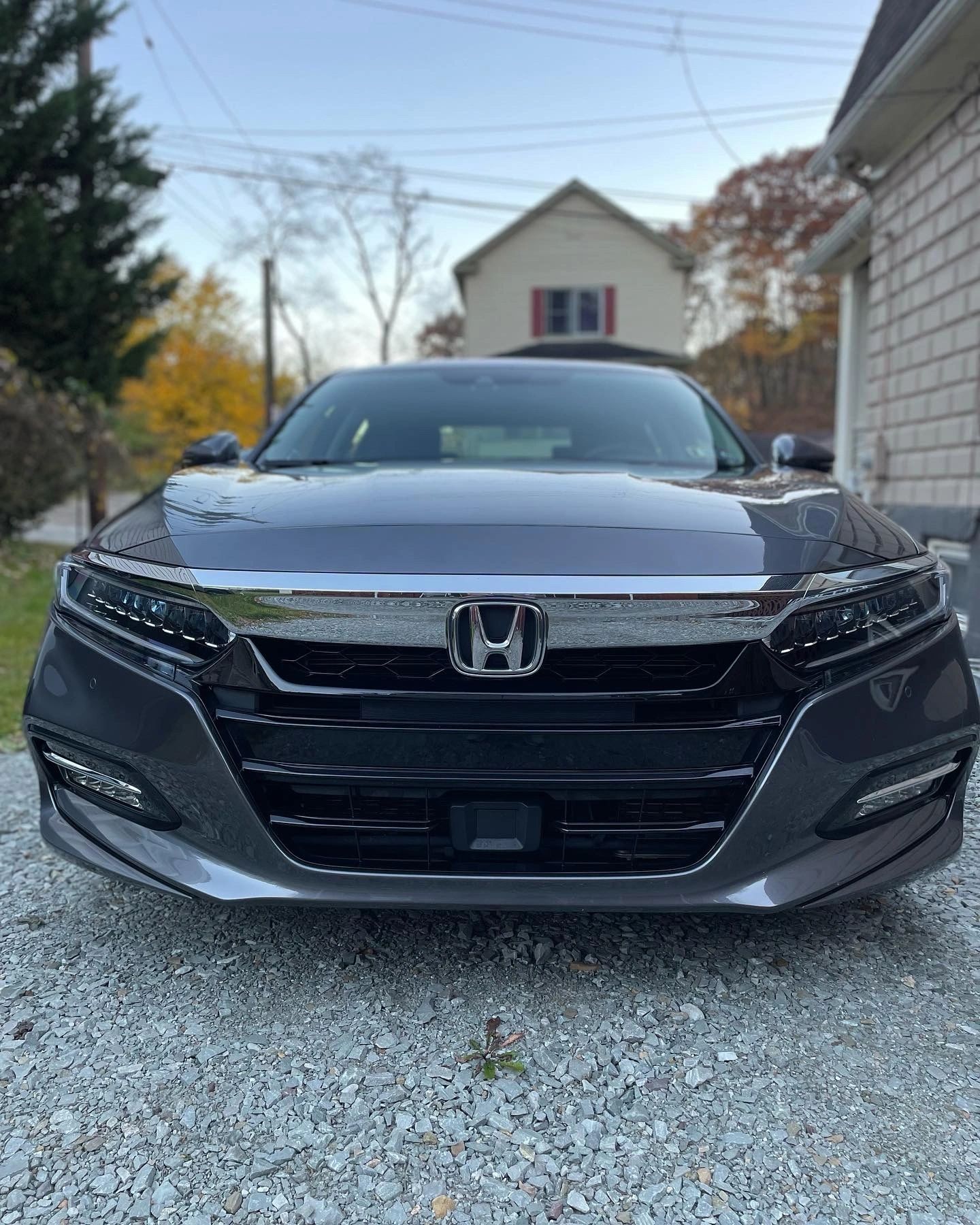 PLUSH Auto Spa detailing work