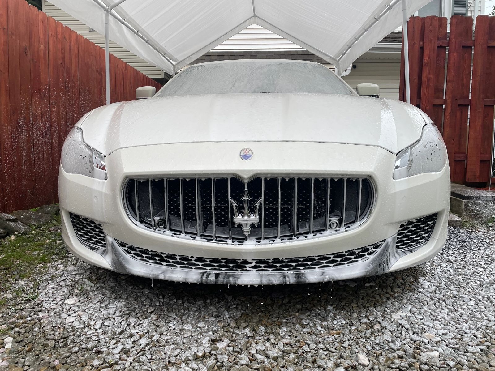 PLUSH Auto Spa detailing work
