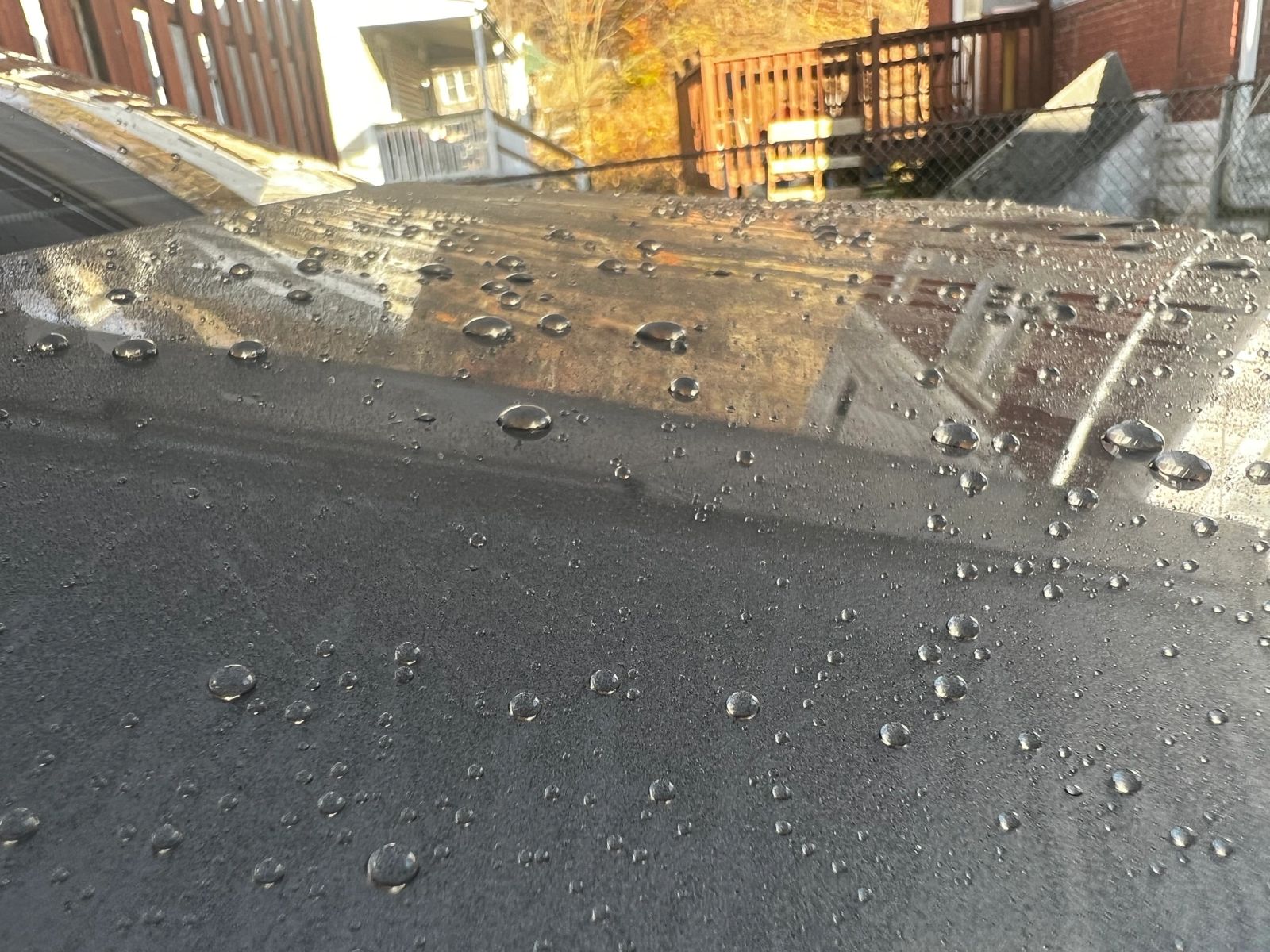 PLUSH Auto Spa detailing work