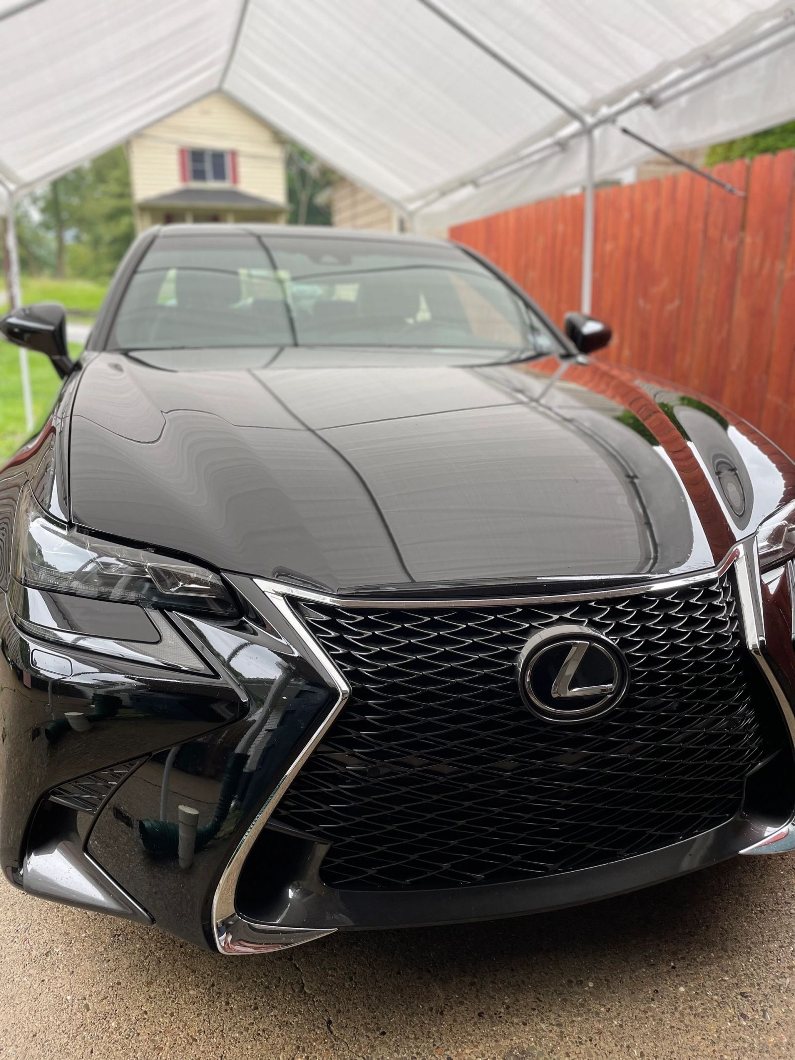PLUSH Auto Spa detailing work