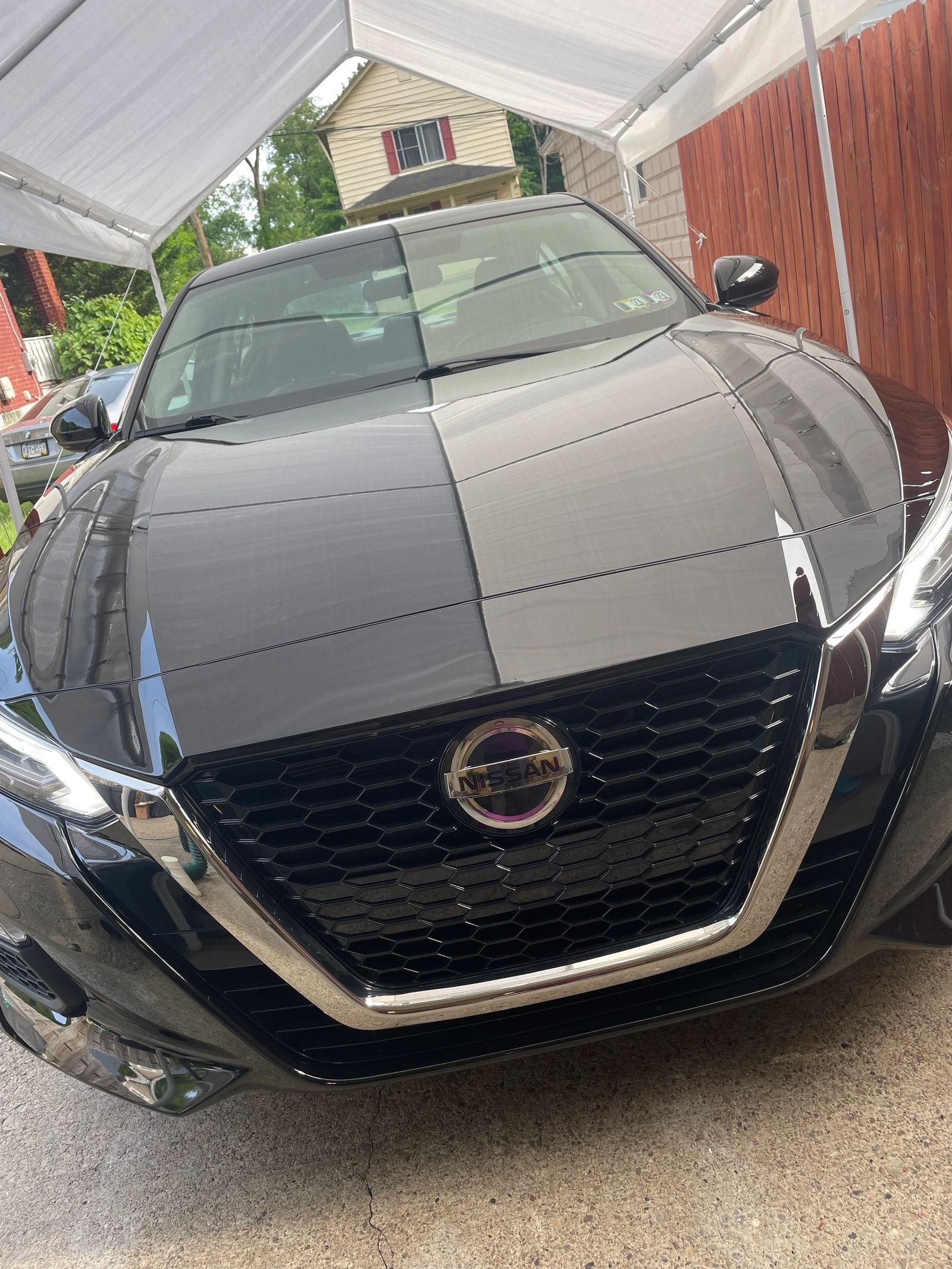 PLUSH Auto Spa detailing work