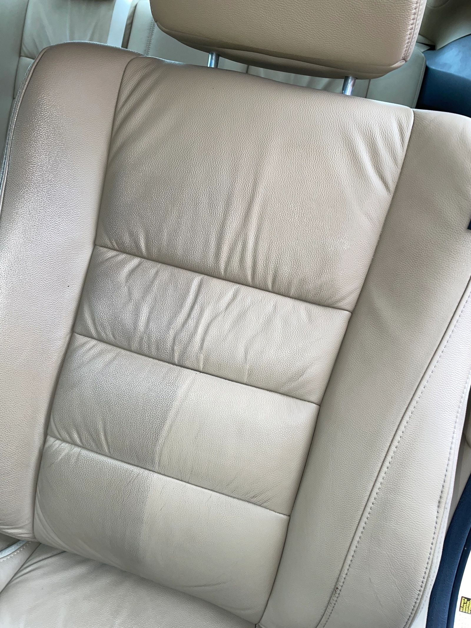 PLUSH Auto Spa detailing work