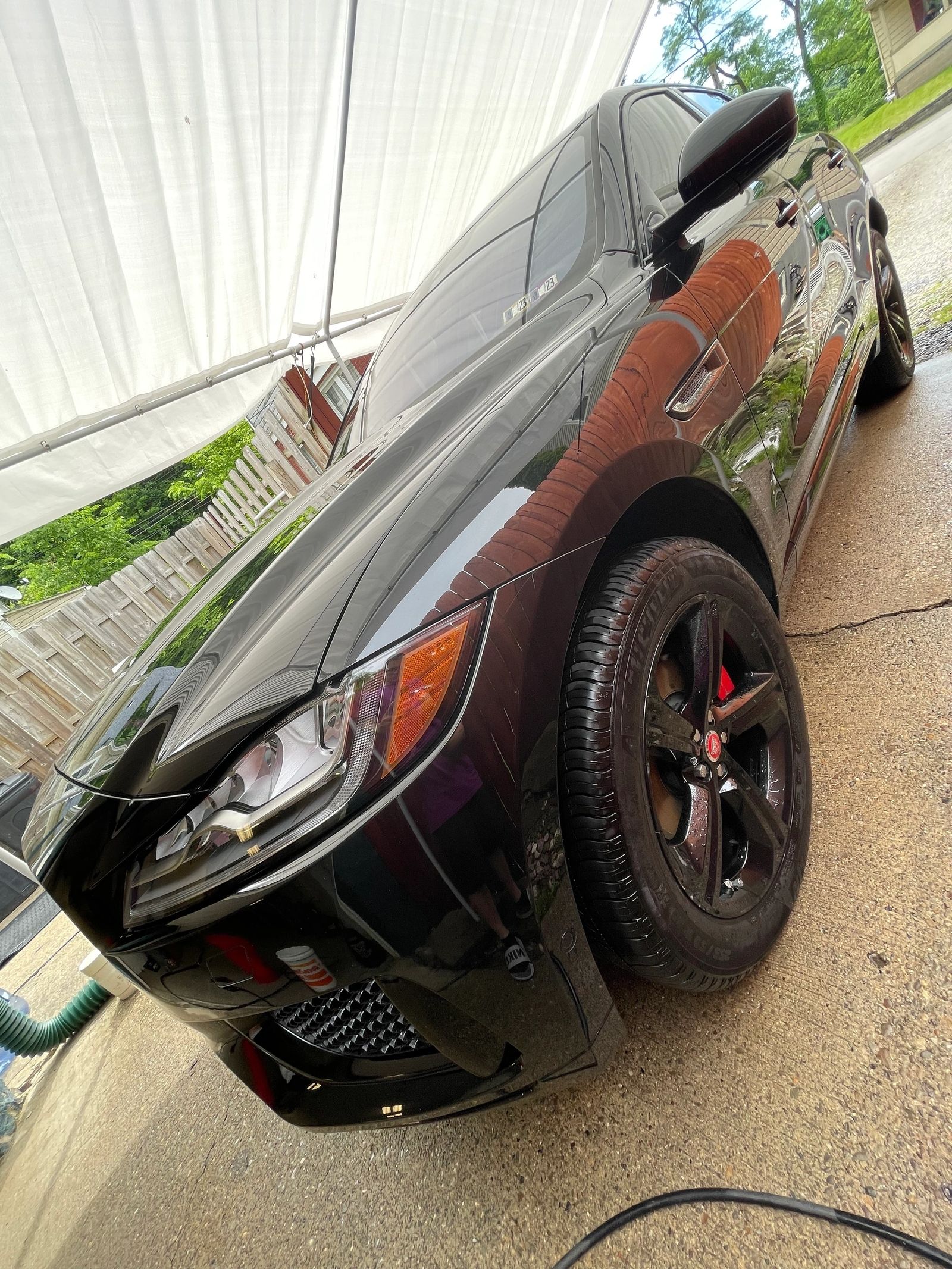PLUSH Auto Spa detailing work