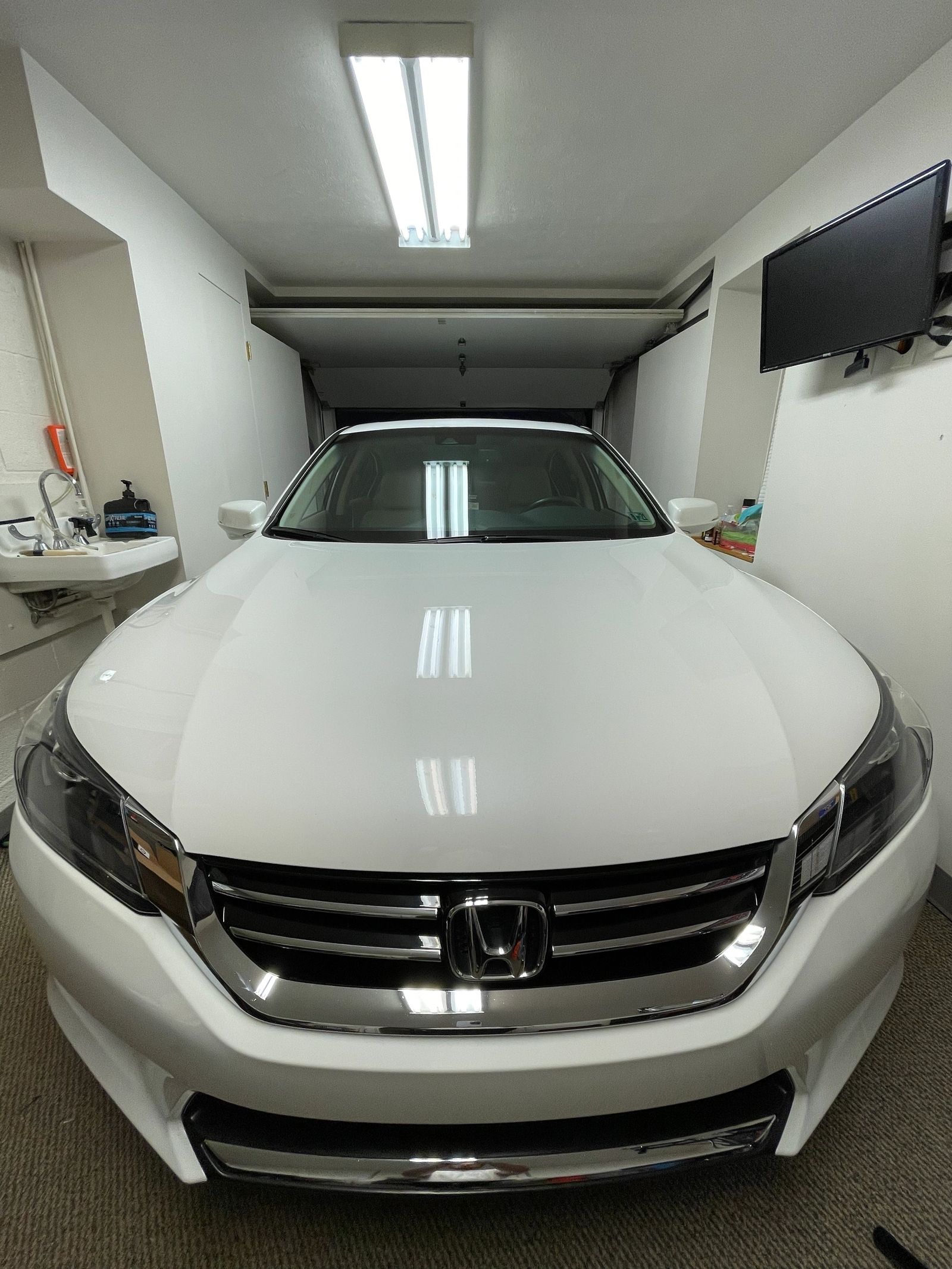 PLUSH Auto Spa detailing work