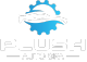 PLUSH Auto Spa detailing work